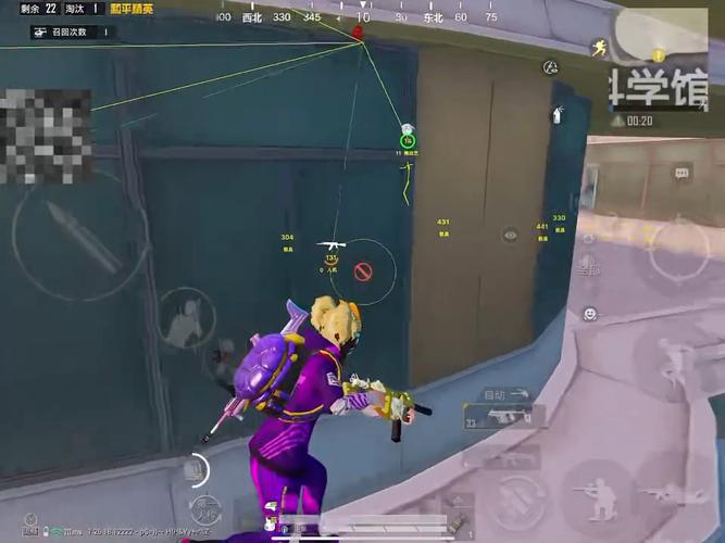 和平精英辅助【飞鸟】